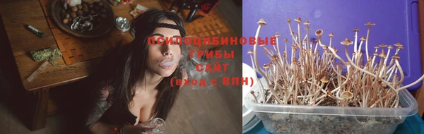 дурь Пересвет