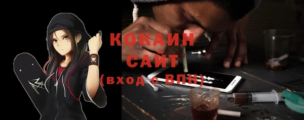 дурь Пересвет