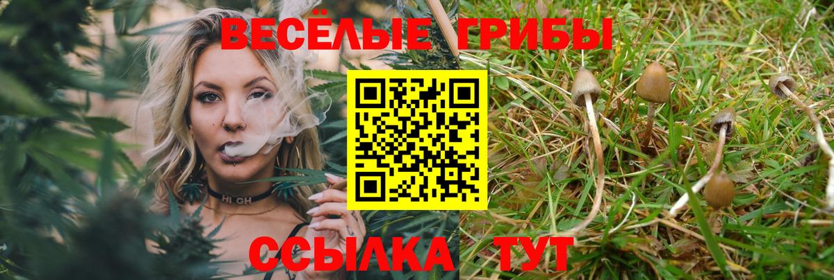 как найти закладки  Галлюциногенные грибы GOLDEN TEACHER  Вход с VPN  Дальнереченск 