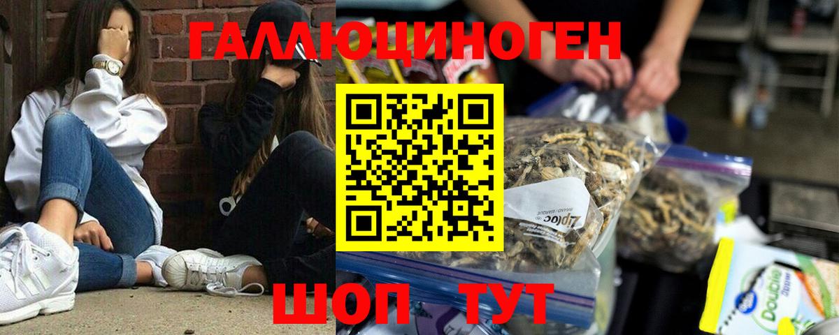 Галлюциногенные грибы Дальнереченск